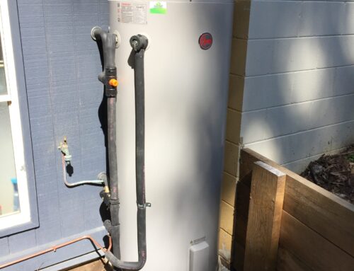 Sunshine Coast Electric Hot Water Systems: Why Rheem is a Top Choice